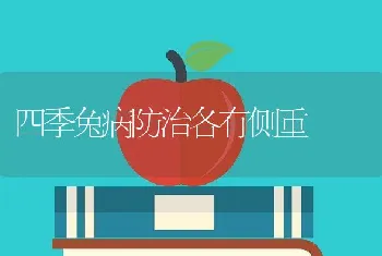 四季兔病防治各有侧重