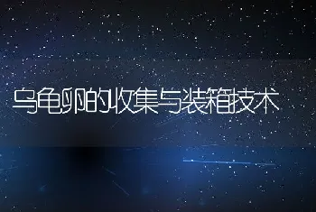 乌龟卵的收集与装箱技术