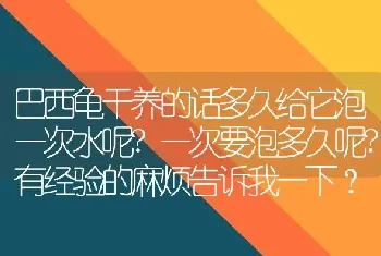 巴西龟干养的话多久给它泡一次水呢?一次要泡多久呢?有经验的麻烦告诉我一下？