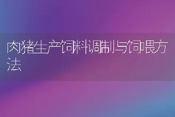 肉猪生产饲料调制与饲喂方法