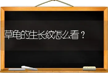 草龟的生长纹怎么看？