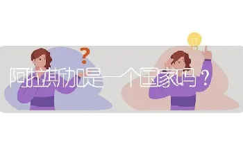 阿拉斯加是一个国家吗？