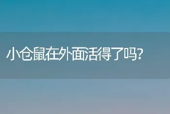 小仓鼠在外面活得了吗？