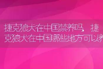 捷克狼犬在中国禁养吗，捷克狼犬在中国哪些地方可以养