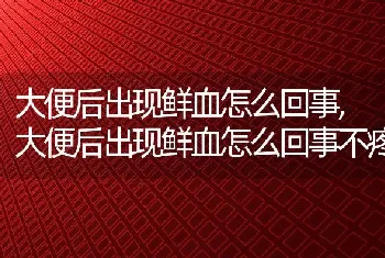 大便后出现鲜血怎么回事，大便后出现鲜血怎么回事不疼