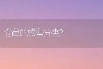 仓鼠的模型分类？