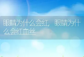 眼睛为什么会红，眼睛为什么会红血丝