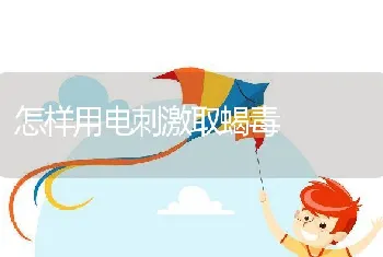 怎样用电刺激取蝎毒