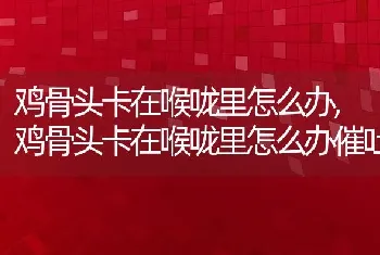 鸡骨头卡在喉咙里怎么办，鸡骨头卡在喉咙里怎么办催吐