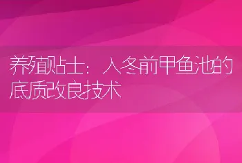 养殖贴士：入冬前甲鱼池的底质改良技术