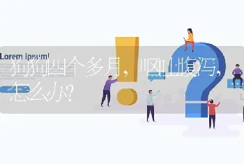 狗狗四个多月，呕吐腹泻，怎么办？