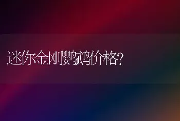 迷你金刚鹦鹉价格？