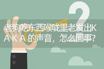 老狗吃东西喉咙里老发出KAKA的声音，怎么回事？