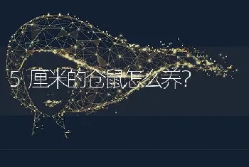 5厘米的仓鼠怎么养？