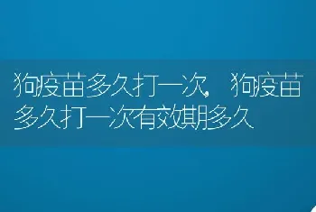 狗疫苗多久打一次，狗疫苗多久打一次有效期多久