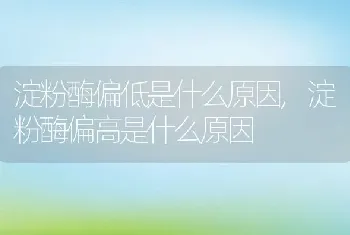 淀粉酶偏低是什么原因，淀粉酶偏高是什么原因