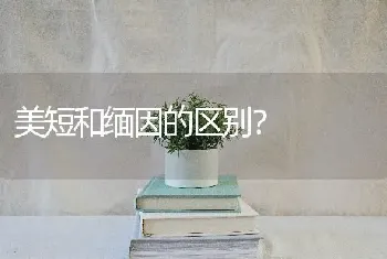 德牧双血统好还是单血统好？