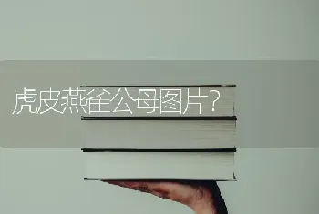 虎皮燕雀公母图片？