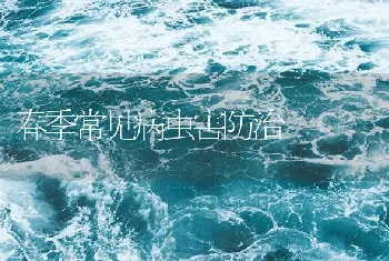 春季常见病虫害防治