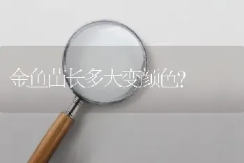 金鱼苗长多大变颜色？