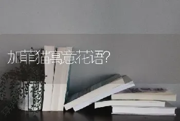 拉布拉多的优缺点？