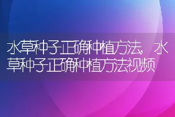 水草种子正确种植方法，水草种子正确种植方法视频