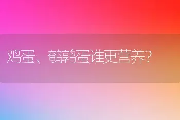 鸡蛋、鹌鹑蛋谁更营养？