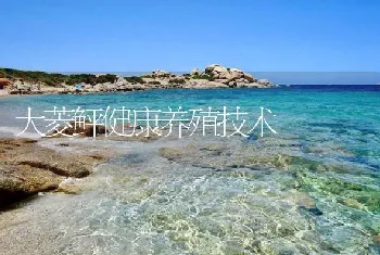 大菱鲆健康养殖技术