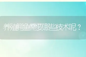 养殖鳄鱼需要哪些技术呢？