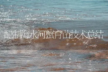 配制海水河蟹育苗技术总结