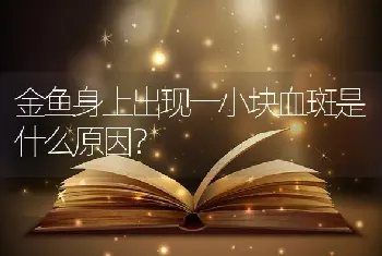 金鱼身上出现一小块血斑是什么原因？