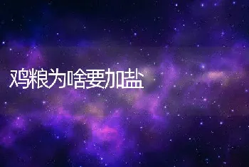 鸡粮为啥要加盐