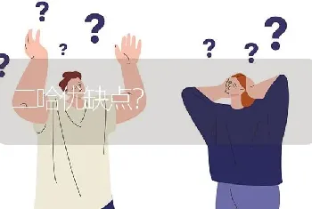 二哈优缺点？