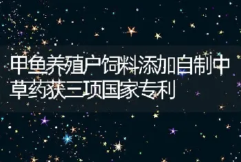 甲鱼养殖户饲料添加自制中草药获三项国家专利