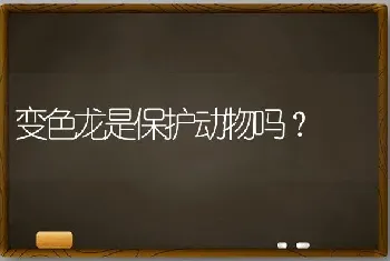 变色龙是保护动物吗？