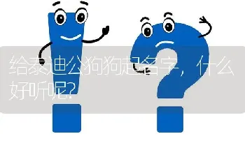 给泰迪公狗狗起名字，什么好听呢？