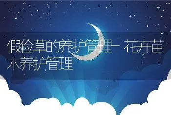 假俭草的养护管理-花卉苗木养护管理