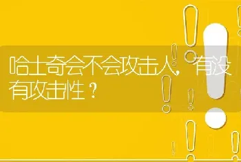 哈士奇会不会攻击人，有没有攻击性？