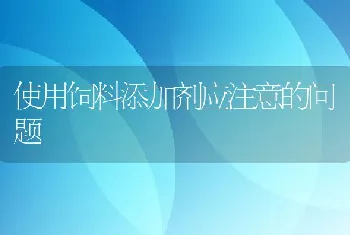 使用饲料添加剂应注意的问题