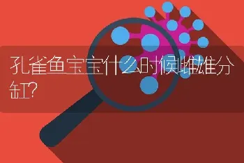 孔雀鱼宝宝什么时候雌雄分缸？