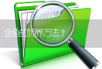 金鱼的饲养方法？