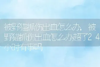 被野猫抓伤出血怎么办，被野猫抓伤出血怎么办超了24小时有事吗