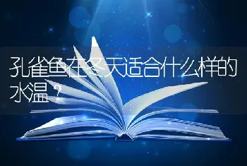 孔雀鱼在冬天适合什么样的水温？