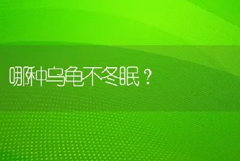 一岁的拉布拉多掉毛严重怎么办？