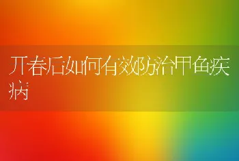 开春后如何有效防治甲鱼疾病