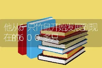 他从6只竹鼠开始发展到现在的600多只