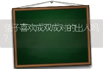 兔子喜欢成双成对的出入吗？