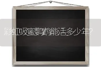 彩虹吸蜜鹦鹉能活多少年？