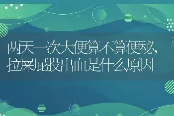 两天一次大便算不算便秘，拉屎屁股出血是什么原因