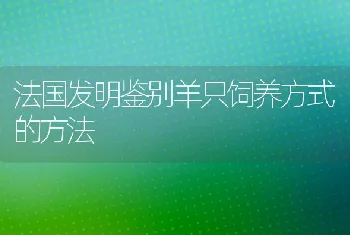 法国发明鉴别羊只饲养方式的方法